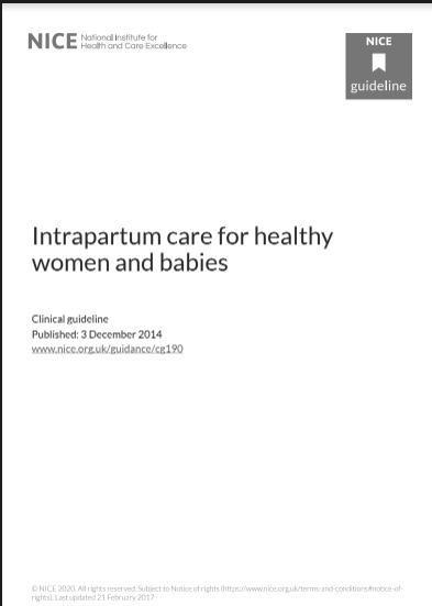 Book Cover: Intrapartum care for healthy women and babies
