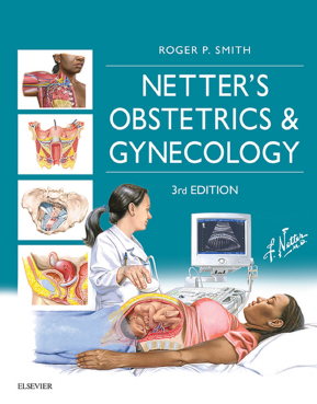 Book Cover: Netter’s Obstetrics and Gynecology by Roger Smith (z-lib.org)